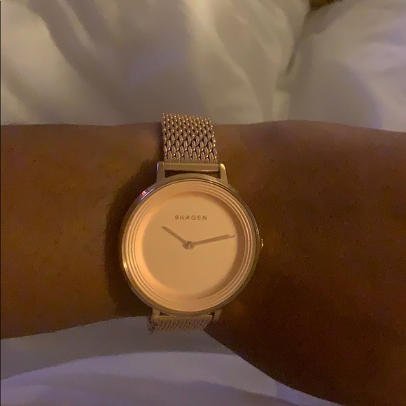 Skagen Skw2334 Ditte Rose Gold Mesh Ladies Watch - Picture 2 of 2